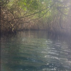 Meet your Posher, Bobby